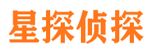 九里市私家侦探